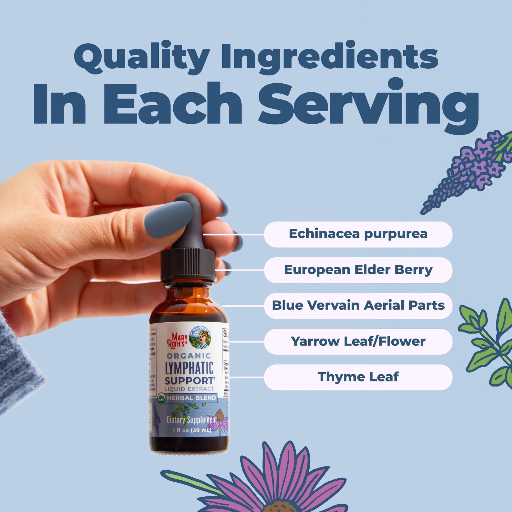 MARYRUTH'S Lymphatic Support Liquid Drops USDA Organic | Herbal Blend with Echinacea & Elderberry | Blue Vervain - Maple Wellness Supplements