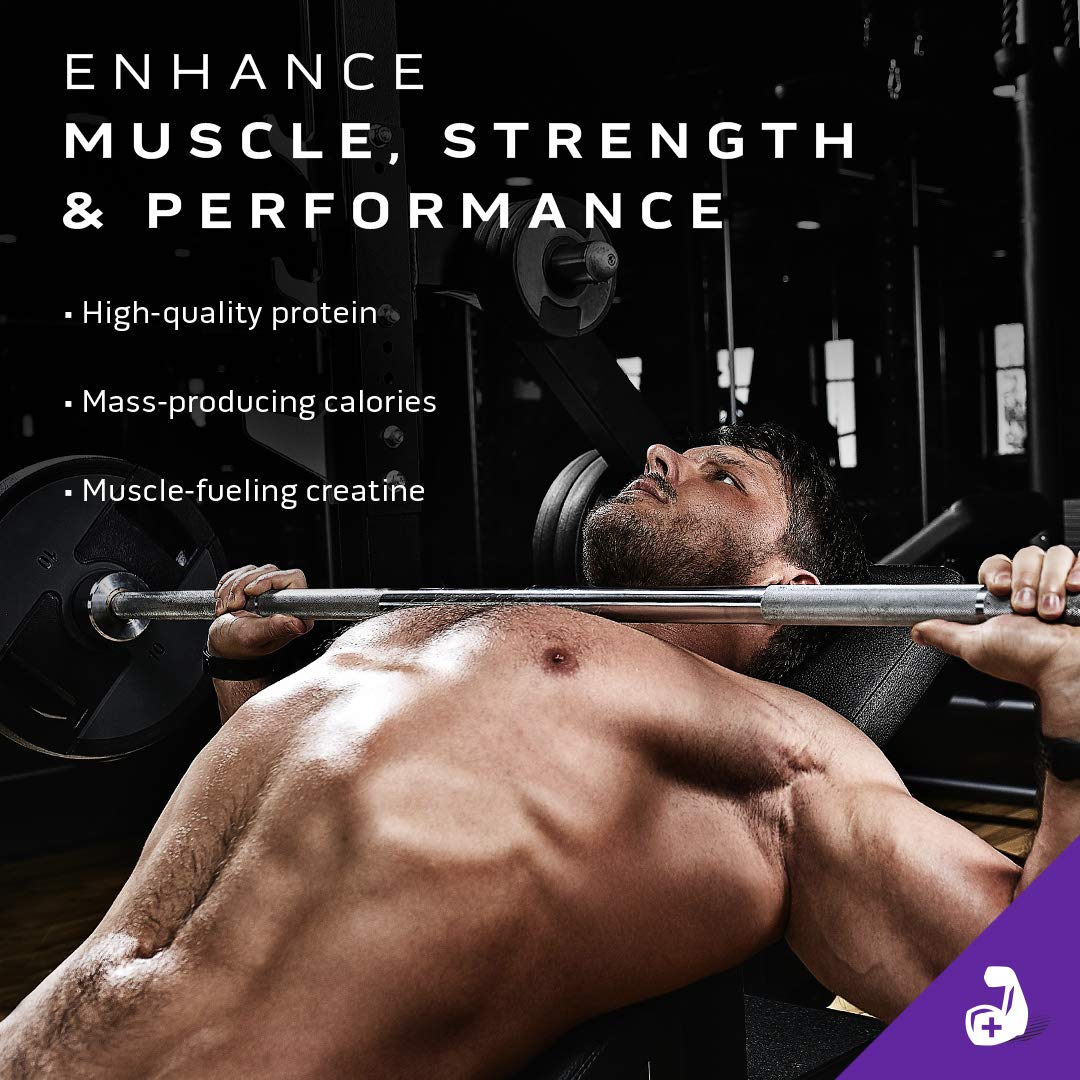 Mass Gainer MuscleTech 100% Mass Gainer Protein Powder Protein Powder for Muscle - Maple Wellness Supplements