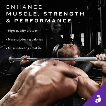 Mass Gainer MuscleTech 100% Mass Gainer Protein Powder Protein Powder for Muscle - Maple Wellness Supplements