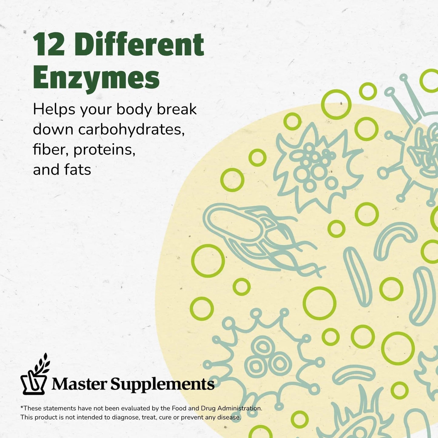 Master Supplements Enzalase - 50 Capsules, Pack of 3 - Probiotic Compatible Enzymes - Provides Digestive Boost + Gas & Bloating Relief - Gluten Free - 150 Total Servings - Maple Wellness Supplements