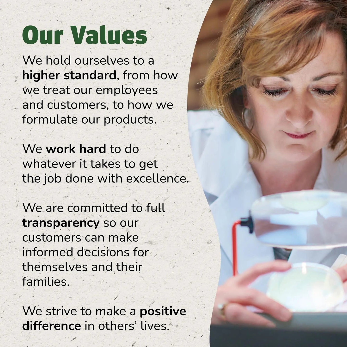 Master Supplements Enzalase - 50 Capsules, Pack of 3 - Probiotic Compatible Enzymes - Provides Digestive Boost + Gas & Bloating Relief - Gluten Free - 150 Total Servings - Maple Wellness Supplements