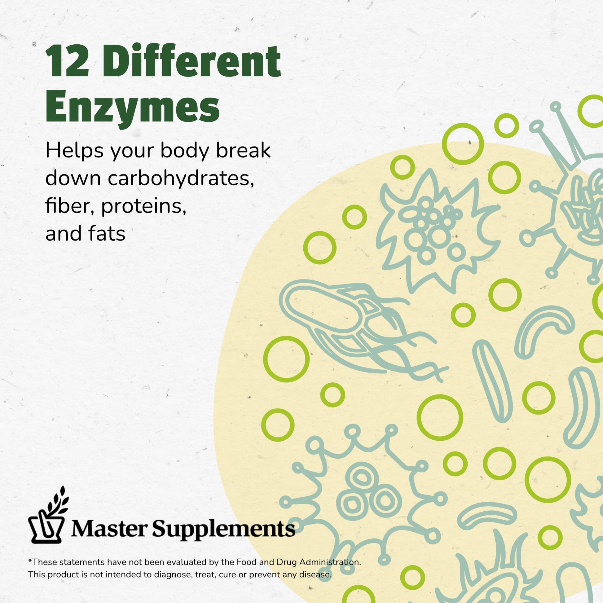 Master Supplements Enzalase - 50 Capsules - Probiotic Compatible Enzymes - Provides Digestive Boost + Gas & Bloating Relief - Gluten Free - 50 Servings - Maple Wellness Supplements