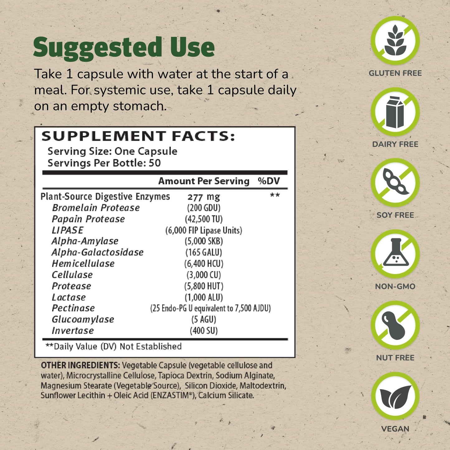 Master Supplements Enzalase - 50 Capsules - Probiotic Compatible Enzymes - Provides Digestive Boost + Gas & Bloating Relief - Gluten Free - 50 Servings - Maple Wellness Supplements