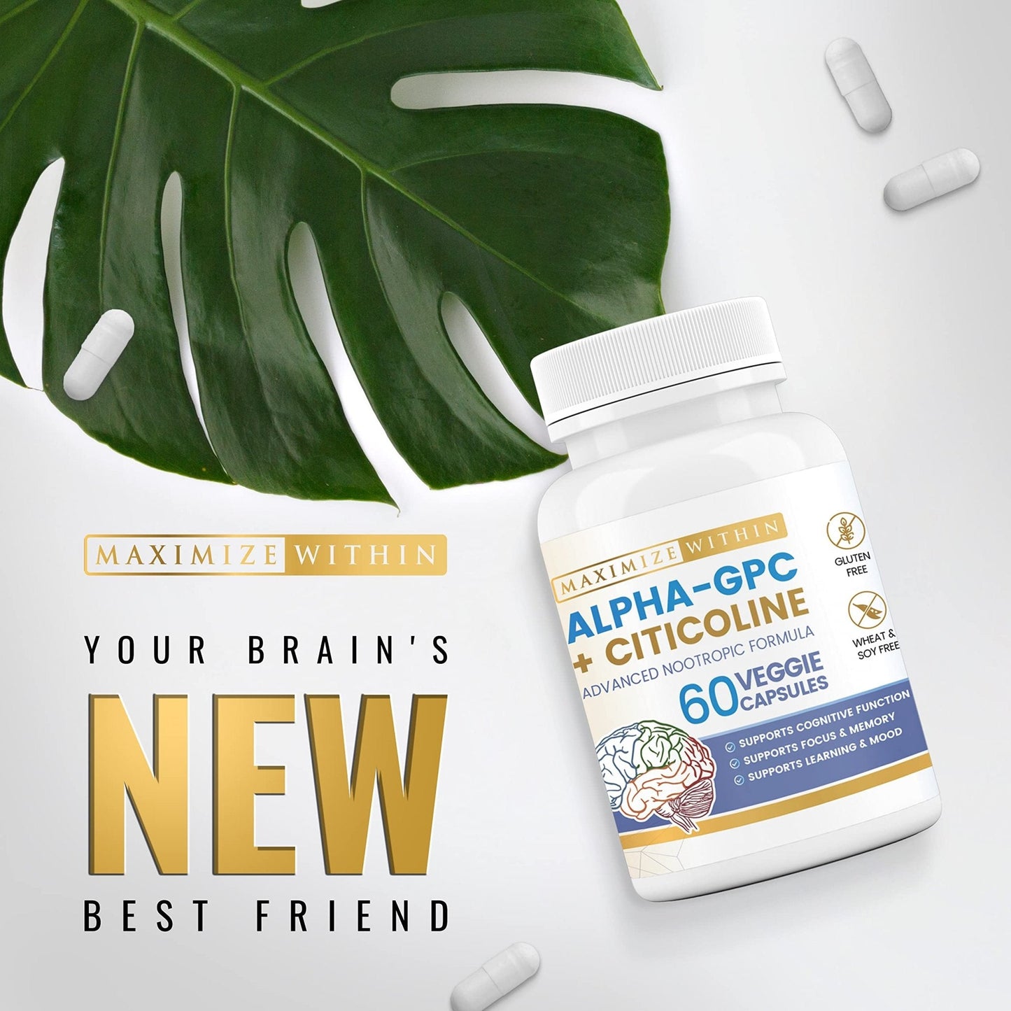 Maximize Within Alpha GPC + Citicoline 60 Ct, 1600mg Concentrated Formula- 99%+Highly Purified & Bioavailable Nootropic-Cognitive Enhancer, Supports Memory, Brain Function, Boosts Focus, Mood & Energy - Maple Wellness Supplements