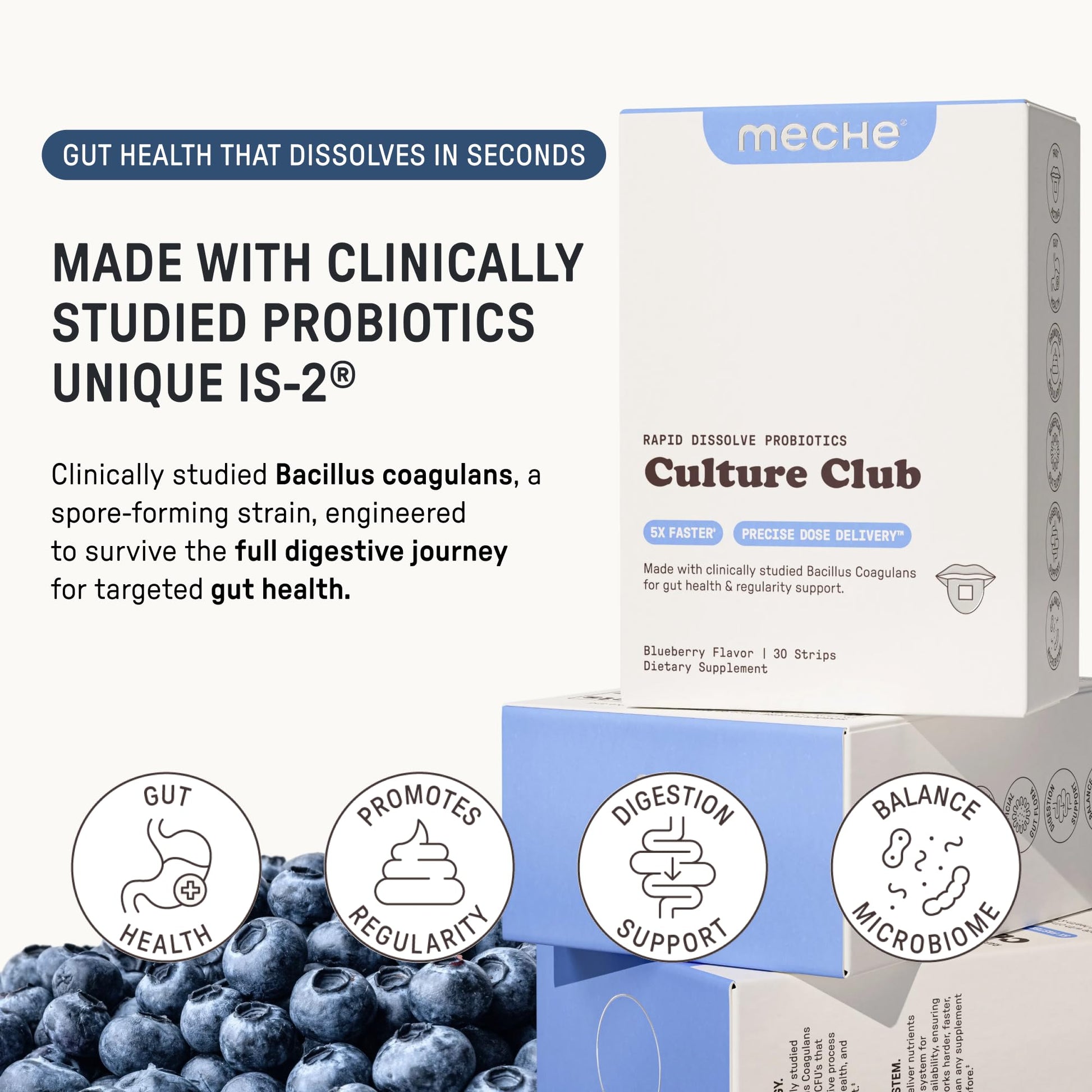 Meche Culture Club Probiotics for Digestive Health and Regularity - 5 Billion CFUs, Probiotics for Women and Men - Gut Health Supplements - Dissolve Strips - Maple Wellness Supplements