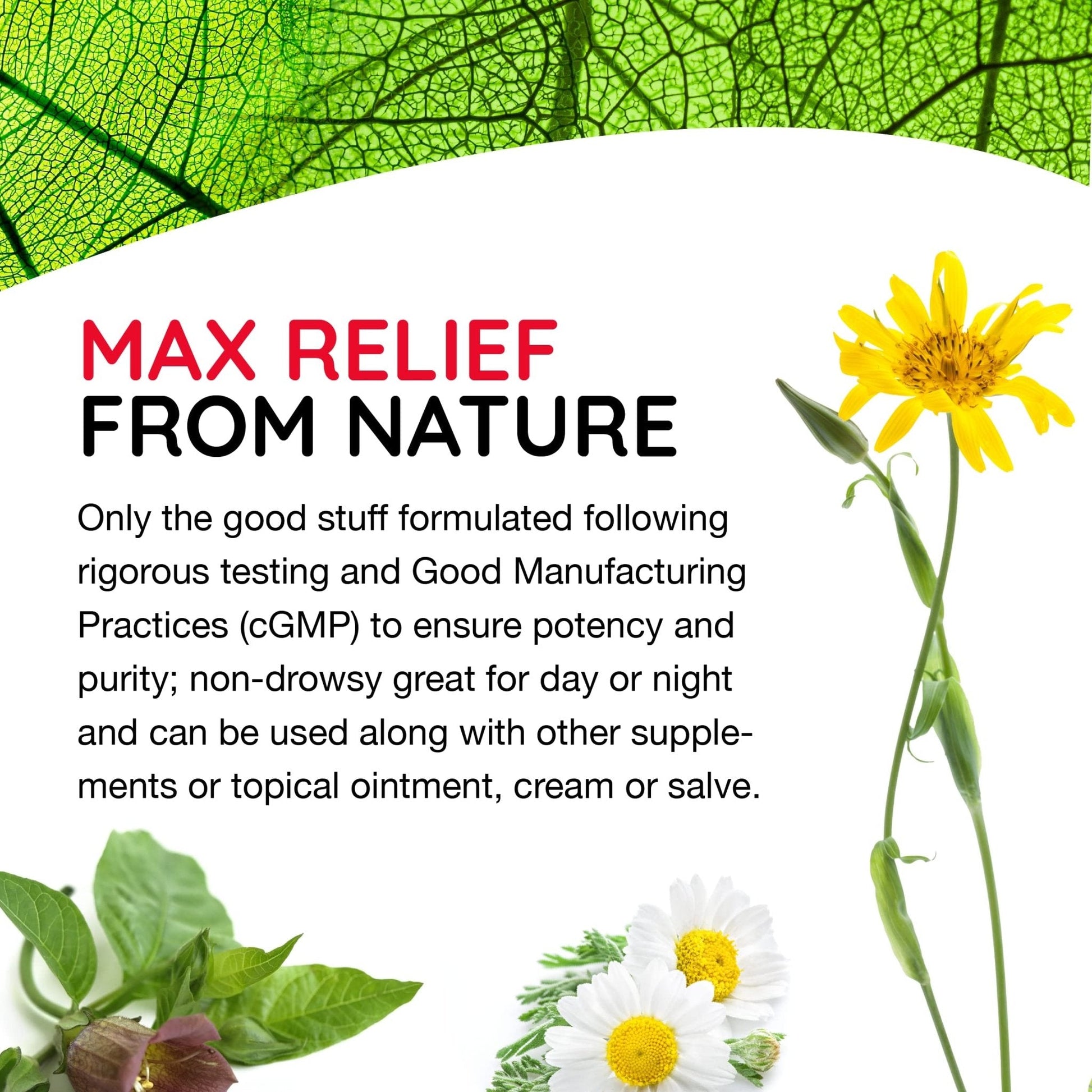 MediNatura T-Relief Extra Strength Oral Drops Arnica +12 Fast-Acting Natural Relieving Actives for Back Neck Joint Muscle Hand & Foot Aches Pains & Soreness - 1.69 oz - Maple Wellness Supplements