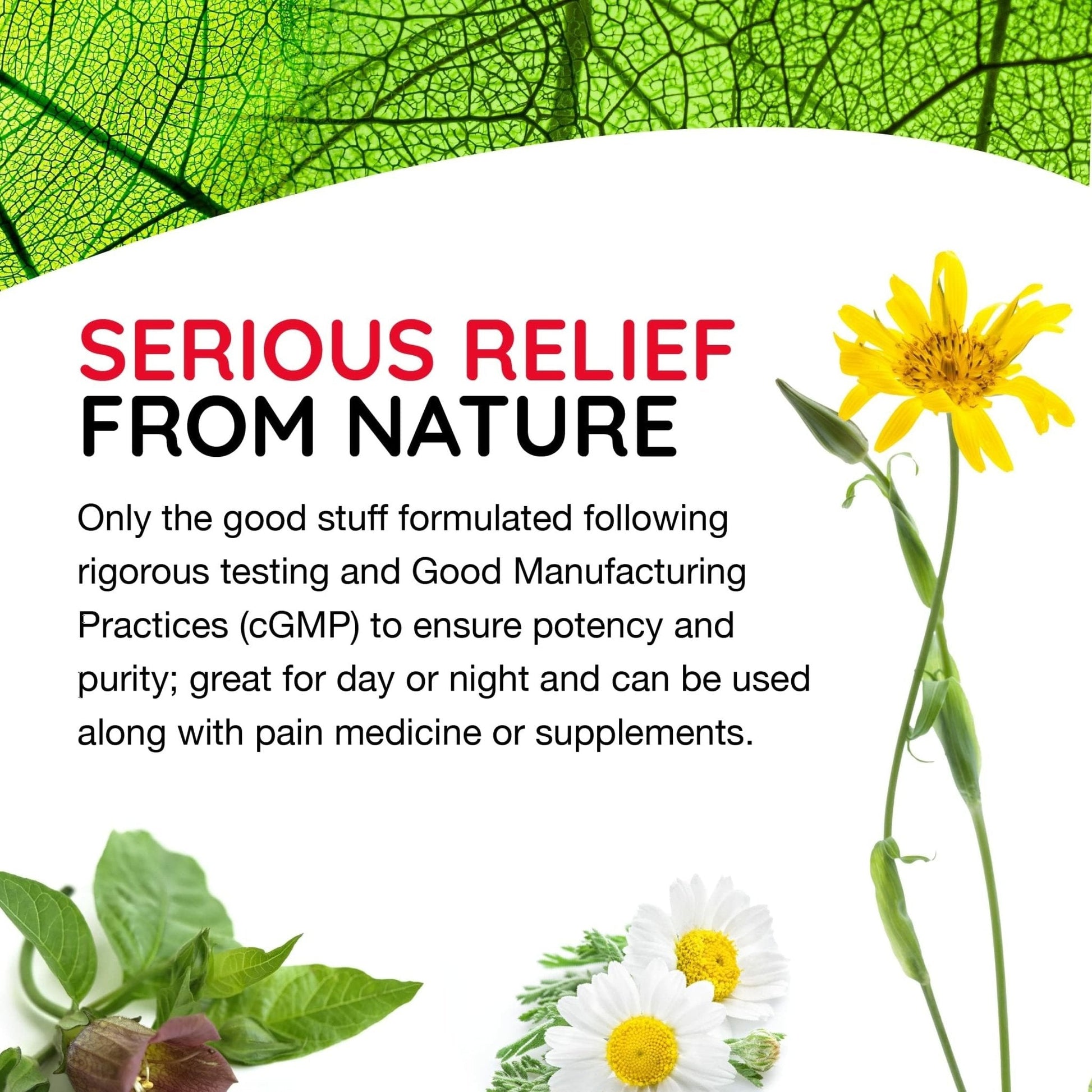 MediNatura T-Relief Pain - Arnica Medication for Naturally Soothing Body Aches - Supports Muscle, Joint & Back Relief - Chewable Tablets - Plant-Based Tablets - Non-Addictive - 100 Count - 2 Pack - Maple Wellness Supplements
