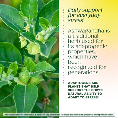 MegaFood Adrenal Strength - Adrenal Support Supplements with Ashwagandha and Magnesium Glycinate, Vitamin C, Holy Basil, Astragalus, Reduces Cortisol Levels - Vegetarian - 60 Tablets (30 Servings) - Maple Wellness Supplements