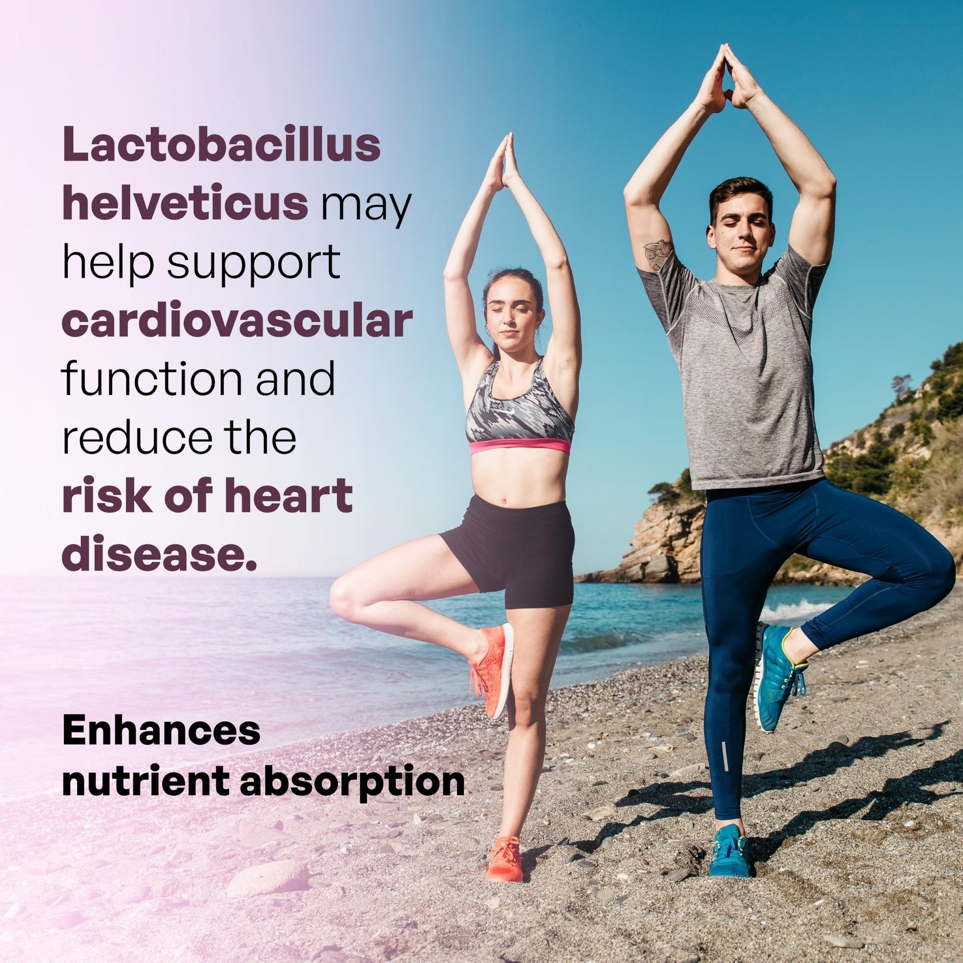MEIBOTAN L-Helveticus Probiotic Bacteria with 25 Billion CFU for Women & Men, Helps Digestion, Nutrient Absorption and Fight Bad Bacterias - 60 Veggie Capsules - Maple Wellness Supplements