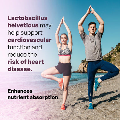 MEIBOTAN L-Helveticus Probiotic Bacteria with 25 Billion CFU for Women & Men, Helps Digestion, Nutrient Absorption and Fight Bad Bacterias - 60 Veggie Capsules - Maple Wellness Supplements