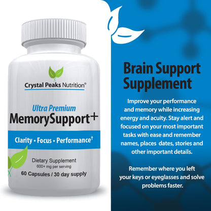 Memory Boost + Brain Support Supplement – Nootropic for Focus, Concentration, Memory. Enhanced Energy, Recall and Alertness - 60 Capsules/30-day Supply. - Maple Wellness Supplements