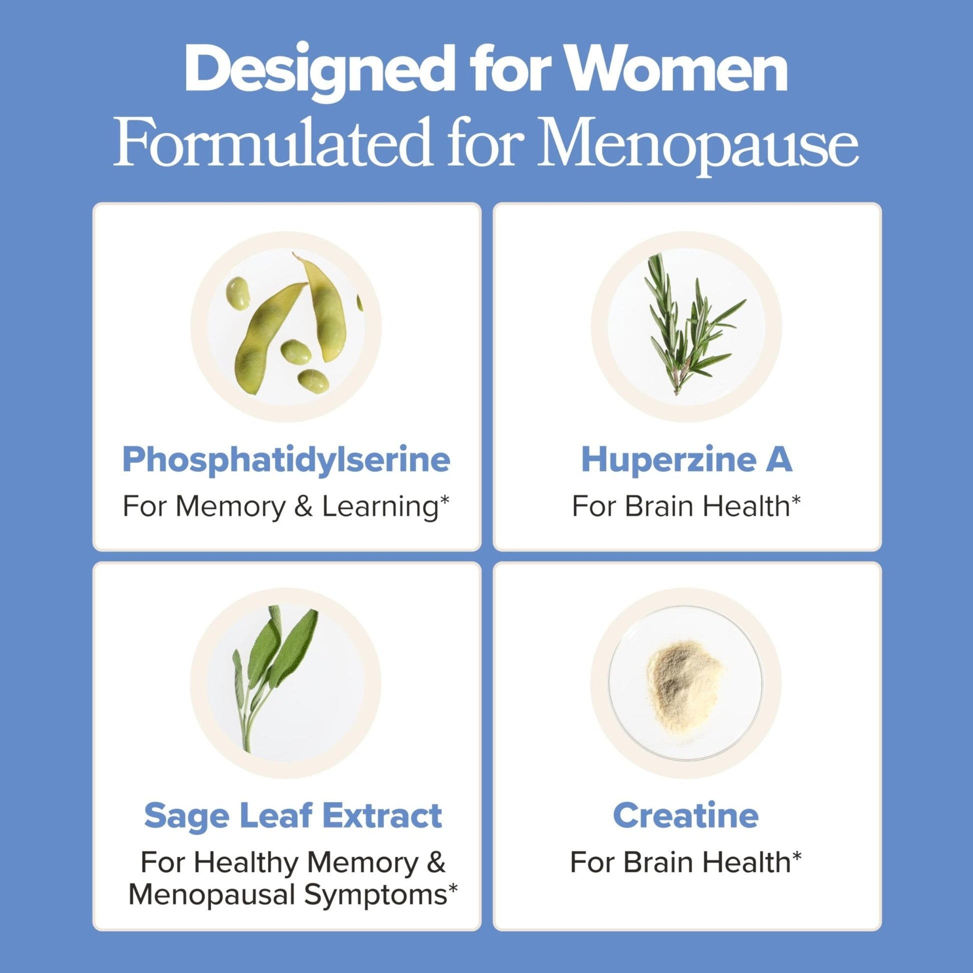 MENO Brain Health + Memory Support Capsules – Daily Support for Cognitive Performance, Concentration & Healthy Brain Aging – with Phosphatidylserine, Creatine, Sage Leaf & Huperzine A – 30 Servings - Maple Wellness Supplements