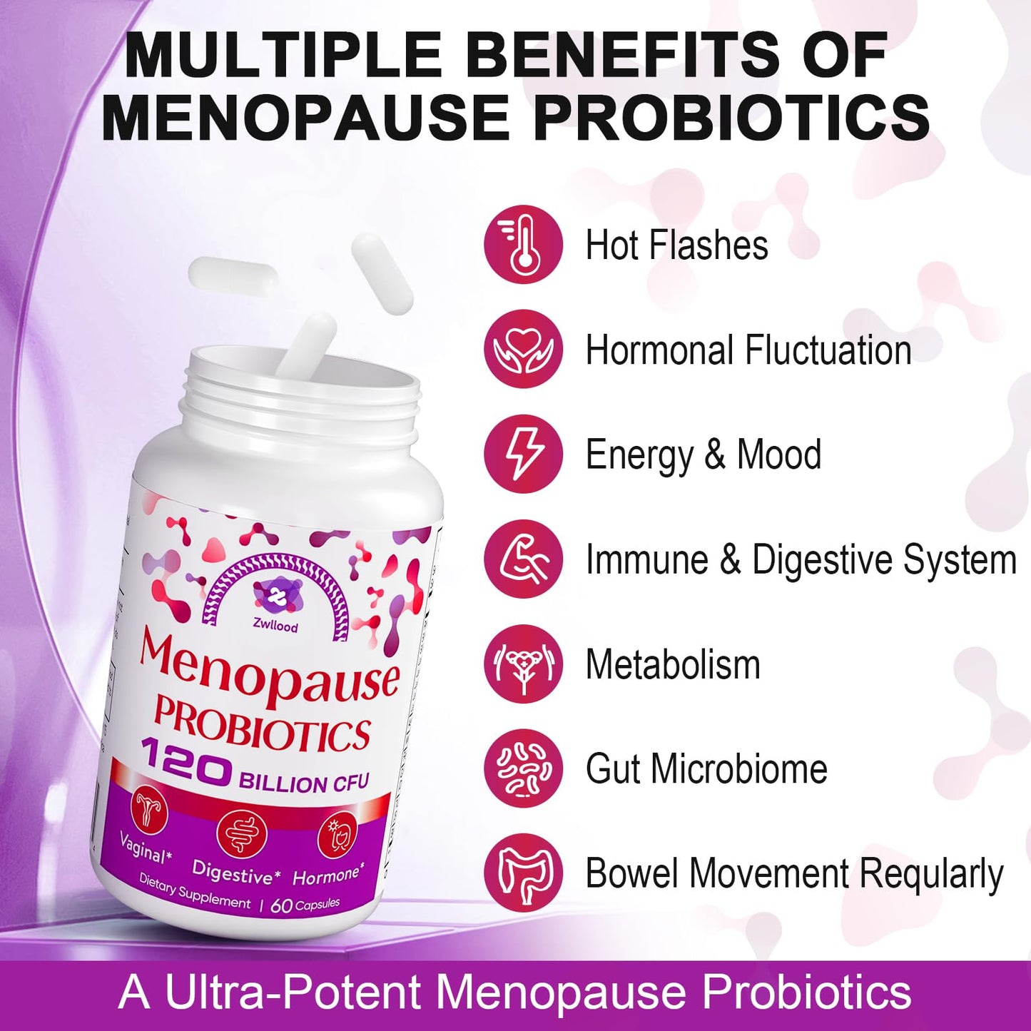 Menopause Supplements for Women, 120 Billion CFU Menopause Probiotics for Women, All-Natural Probiotic for Hot Flashes Menopause, Night Sweats, Mood Swings, Gut and Hormone - 60 Herbal Capsules - Maple Wellness Supplements