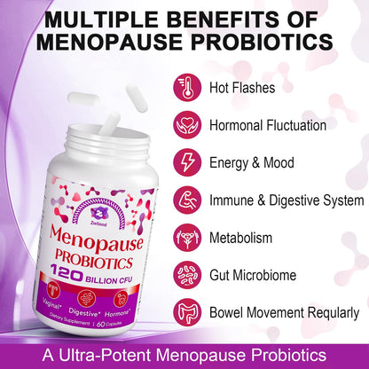 Menopause Supplements for Women, 120 Billion CFU Menopause Probiotics for Women, All-Natural Probiotic for Hot Flashes Menopause, Night Sweats, Mood Swings, Gut and Hormone - 60 Herbal Capsules - Maple Wellness Supplements