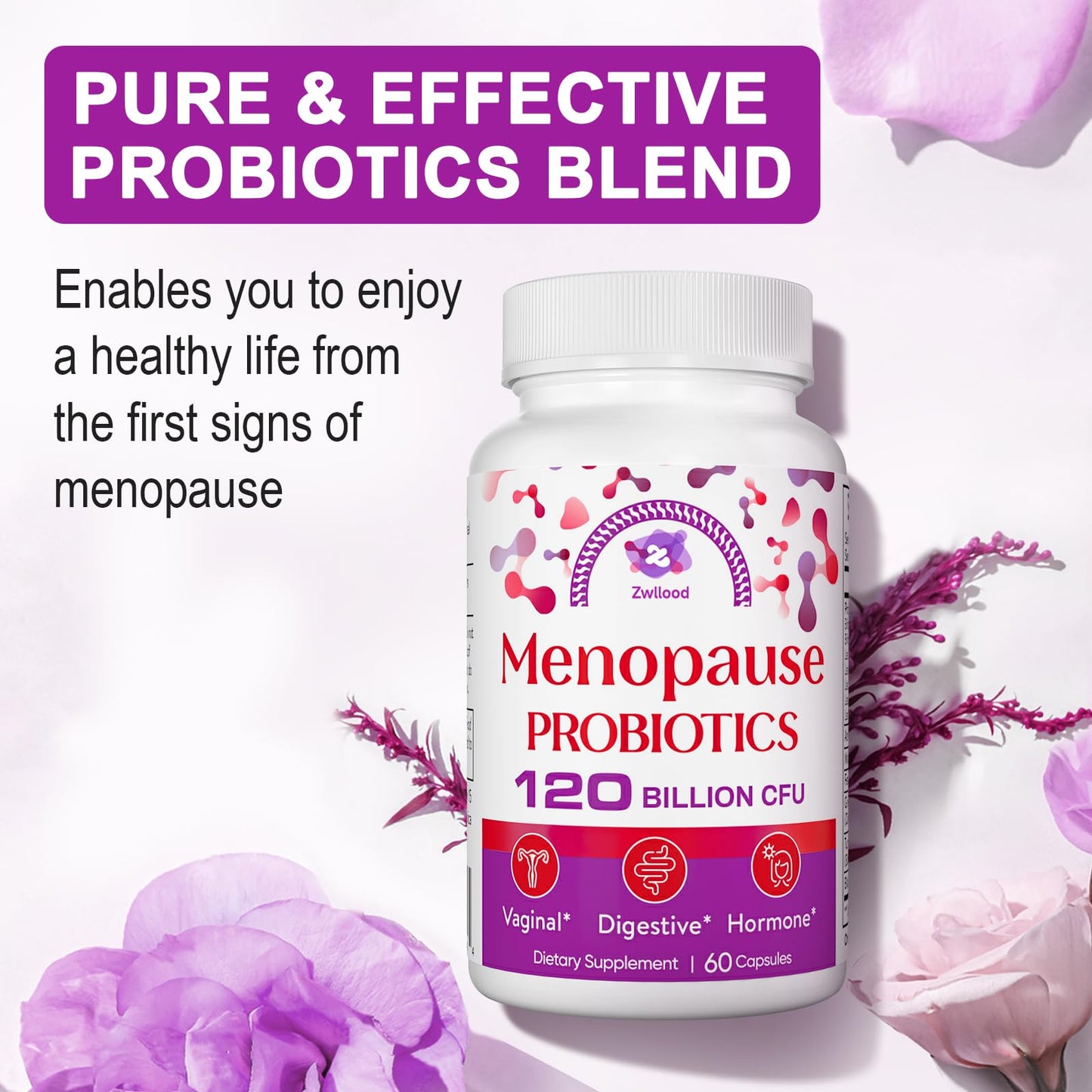 Menopause Supplements for Women, 120 Billion CFU Menopause Probiotics for Women, All-Natural Probiotic for Hot Flashes Menopause, Night Sweats, Mood Swings, Gut and Hormone - 60 Herbal Capsules - Maple Wellness Supplements