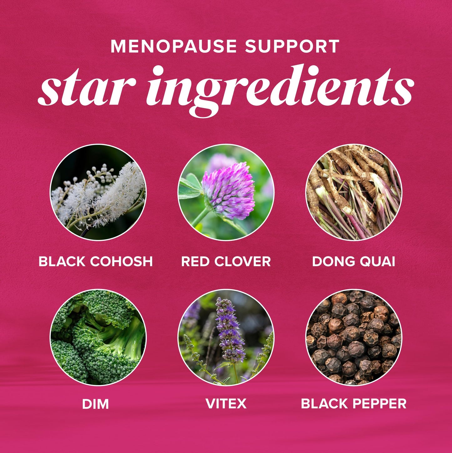 Menopause Vitamins Beadlets with Black Cohosh, Red Clover & More | Hot Flashes, Night Sweats & Mood Support | Menopause Supplements for Women with Dong Quai, Chaste Tree Berry & DIM | Non-GMO 30ct - Maple Wellness Supplements