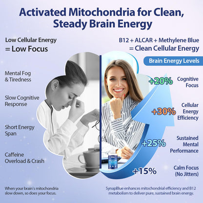 Methylene Blue Drops for Humans, 1% USP Grade – Dropper-Free No-Touch Bottle, Brain Supplement for Memory and Focus – Fast-Acting Nootropic with Methyl B12 & ALCAR – Caffeine-Free, Mint Flavor, 2oz - Maple Wellness Supplements