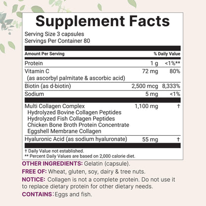 Micro Ingredients 2 Pack Multi Collagen Pills for Women & Men, 480 Capsules | Type I, II, III, V, X | Hydrolyzed Protein Peptides with Biotin, Hyaluronic Acid, & Vitamin C | Keto & Paleo Friendly - Maple Wellness Supplements