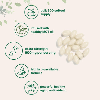 Micro Ingredients Alpha Lipoic Acid 600mg with MCT Oil, 300 Softgels | ALA Supplement for Liver, Antioxidants, Nerve, Cardiovascular Health Support - Maple Wellness Supplements