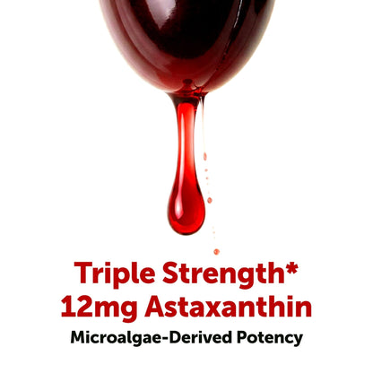 Micro Ingredients Astaxanthin 12mg with MCT Oil, 120 Softgels, 4 Month Supply | Premium Astaxanthin Antioxidant Supplements* | Fresh Microalgae Source - Maple Wellness Supplements