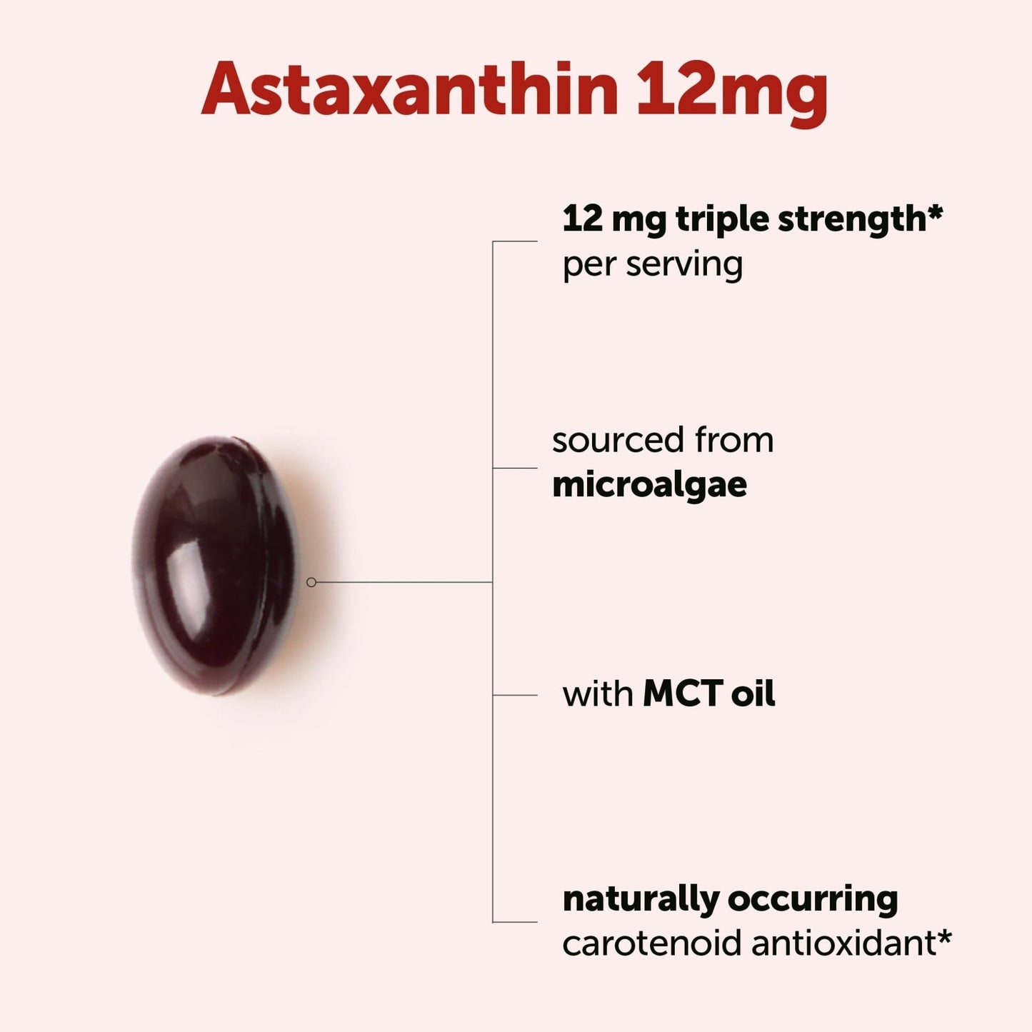 Micro Ingredients Astaxanthin 12mg with MCT Oil, 120 Softgels, 4 Month Supply | Premium Astaxanthin Antioxidant Supplements* | Fresh Microalgae Source - Maple Wellness Supplements