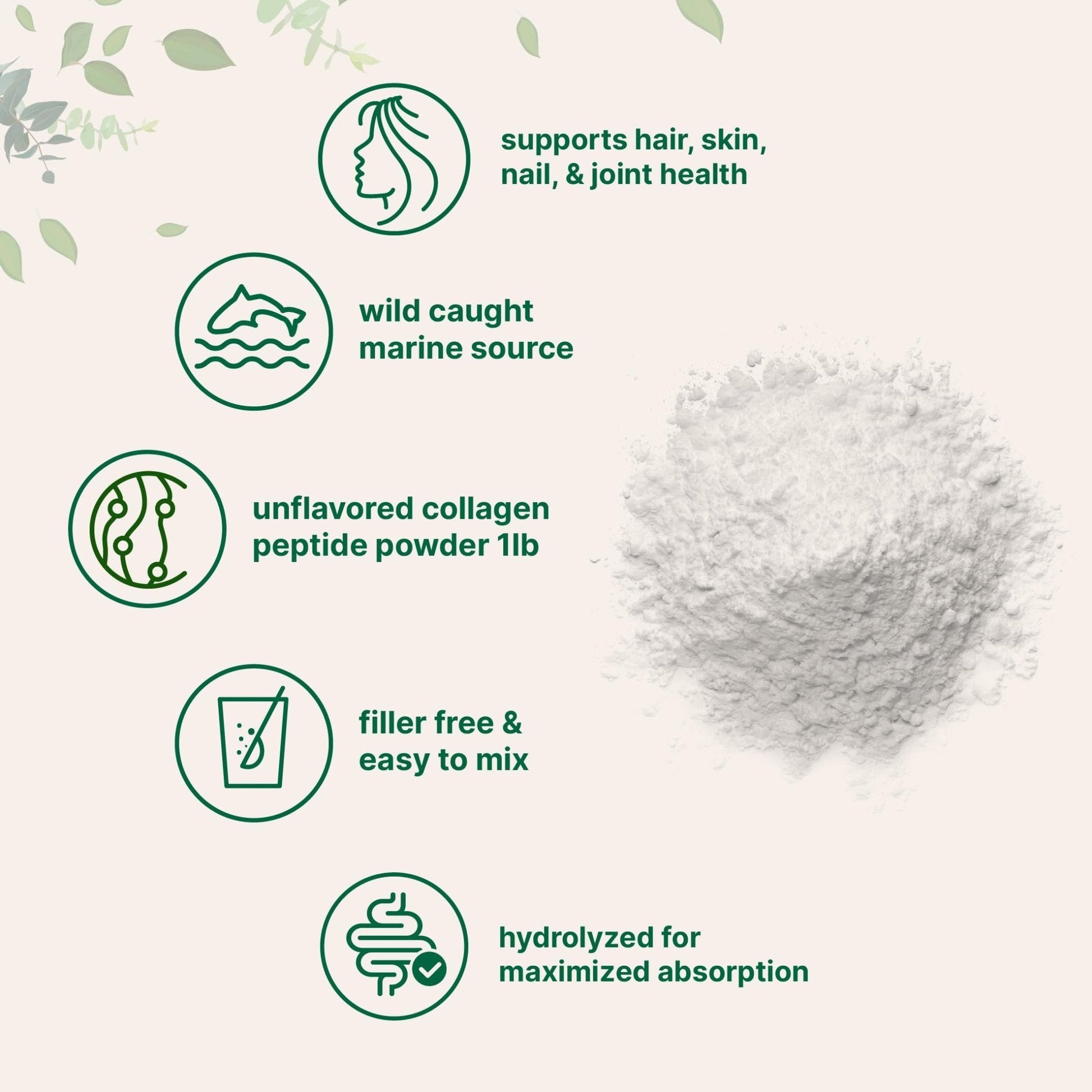 Micro Ingredients Marine Collagen Peptides Powder, 1 lb | Type I Marine Collagen + Natural Protein | Wild-Caught Fish Source - Maple Wellness Supplements