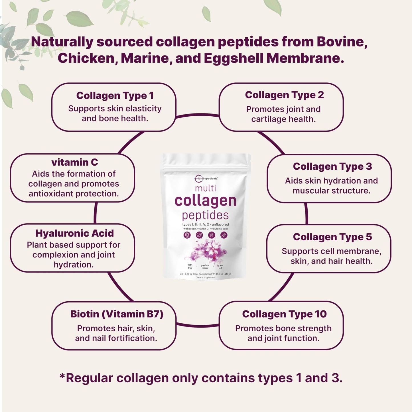 Micro Ingredients Multi Collagen Peptides Powder, 40 Stick Packs | Type I, II, III, V, X + Biotin, Vitamin C & Hyaluronic Acid | Unflavored - Maple Wellness Supplements