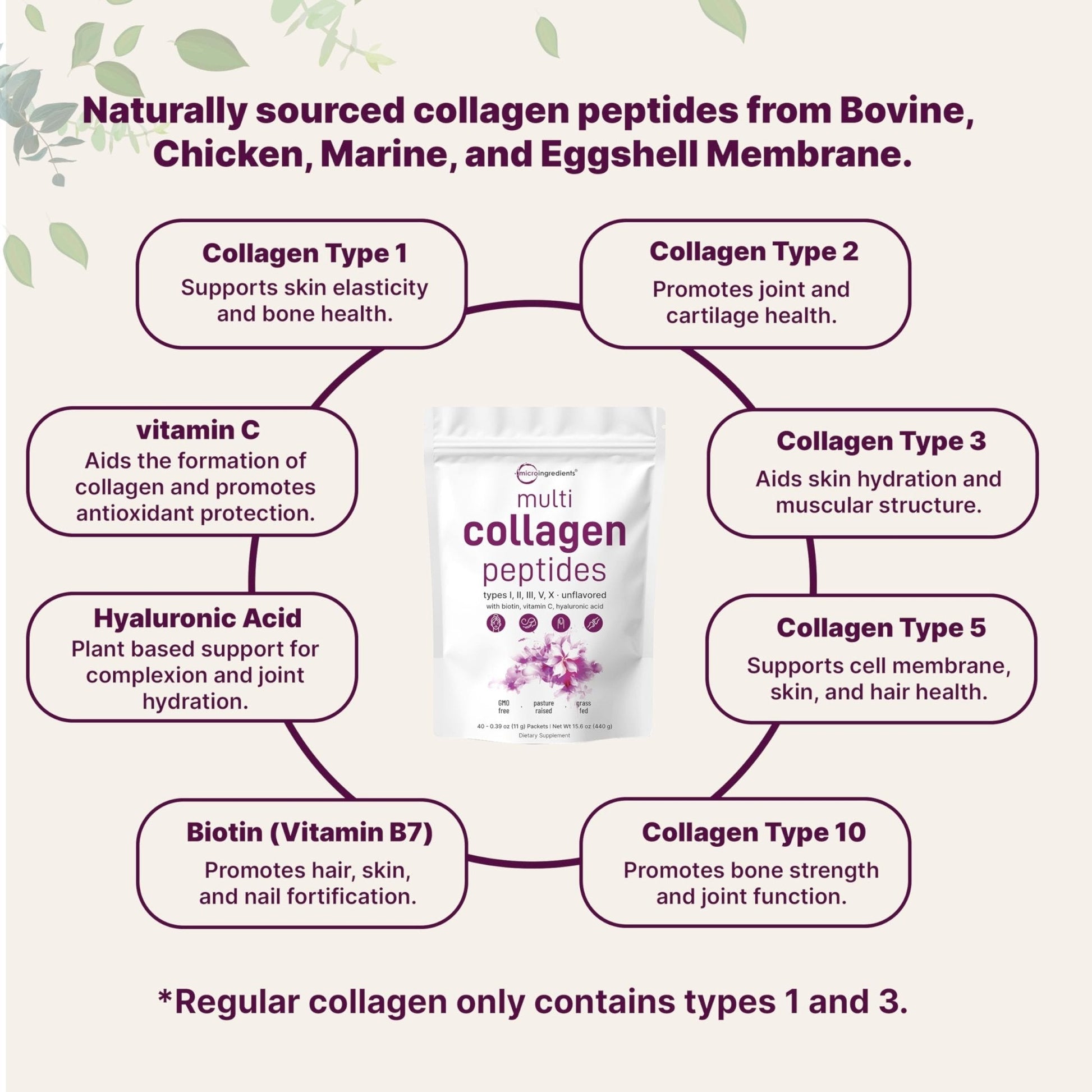 Micro Ingredients Multi Collagen Peptides Powder, 40 Stick Packs | Type I, II, III, V, X + Biotin, Vitamin C & Hyaluronic Acid | Unflavored - Maple Wellness Supplements