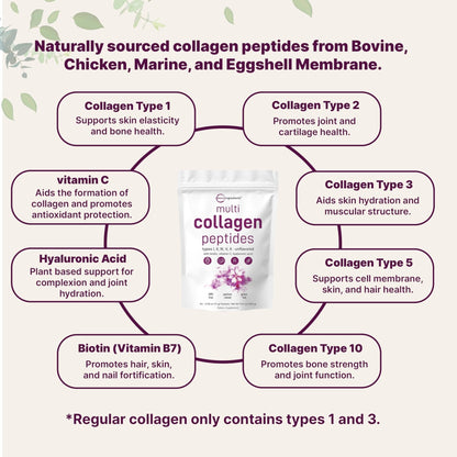 Micro Ingredients Multi Collagen Peptides Powder, 40 Stick Packs | Type I, II, III, V, X + Biotin, Vitamin C & Hyaluronic Acid | Unflavored - Maple Wellness Supplements