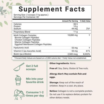 Micro Ingredients Multi Collagen Protein Powder, 2 Pounds – Type I,II,III,V,X with Biotin - Maple Wellness Supplements