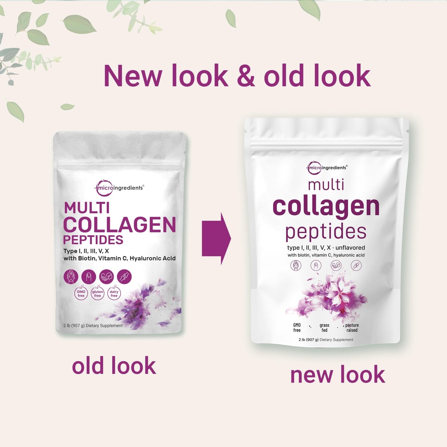 Micro Ingredients Multi Collagen Protein Powder, 2 Pounds – Type I,II,III,V,X with Biotin - Maple Wellness Supplements
