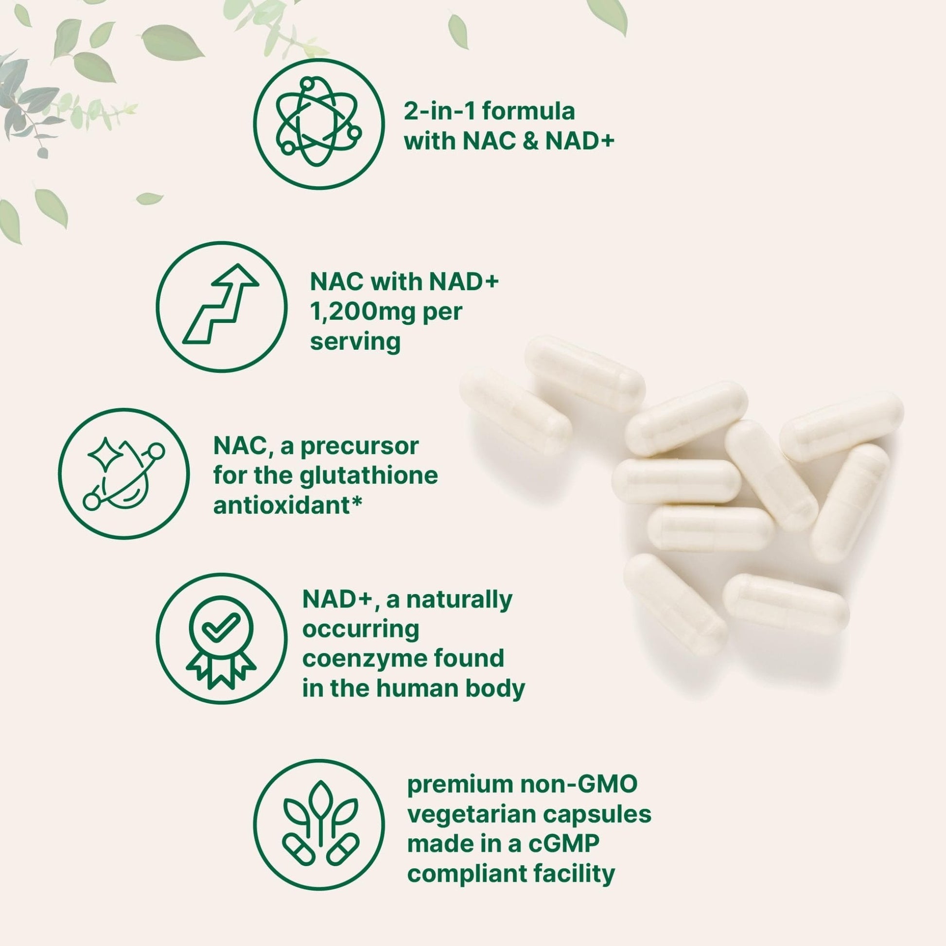 Micro Ingredients NAC with NAD+, 240 Vegetarian Capsules | 1,200 mg Per Serving | 2-in-1 N-Acetyl-L-Cysteine with Nicotinamide Adenine Dinucleotide - Maple Wellness Supplements