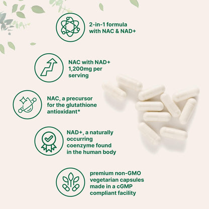 Micro Ingredients NAC with NAD+, 240 Vegetarian Capsules | 1,200 mg Per Serving | 2-in-1 N-Acetyl-L-Cysteine with Nicotinamide Adenine Dinucleotide - Maple Wellness Supplements