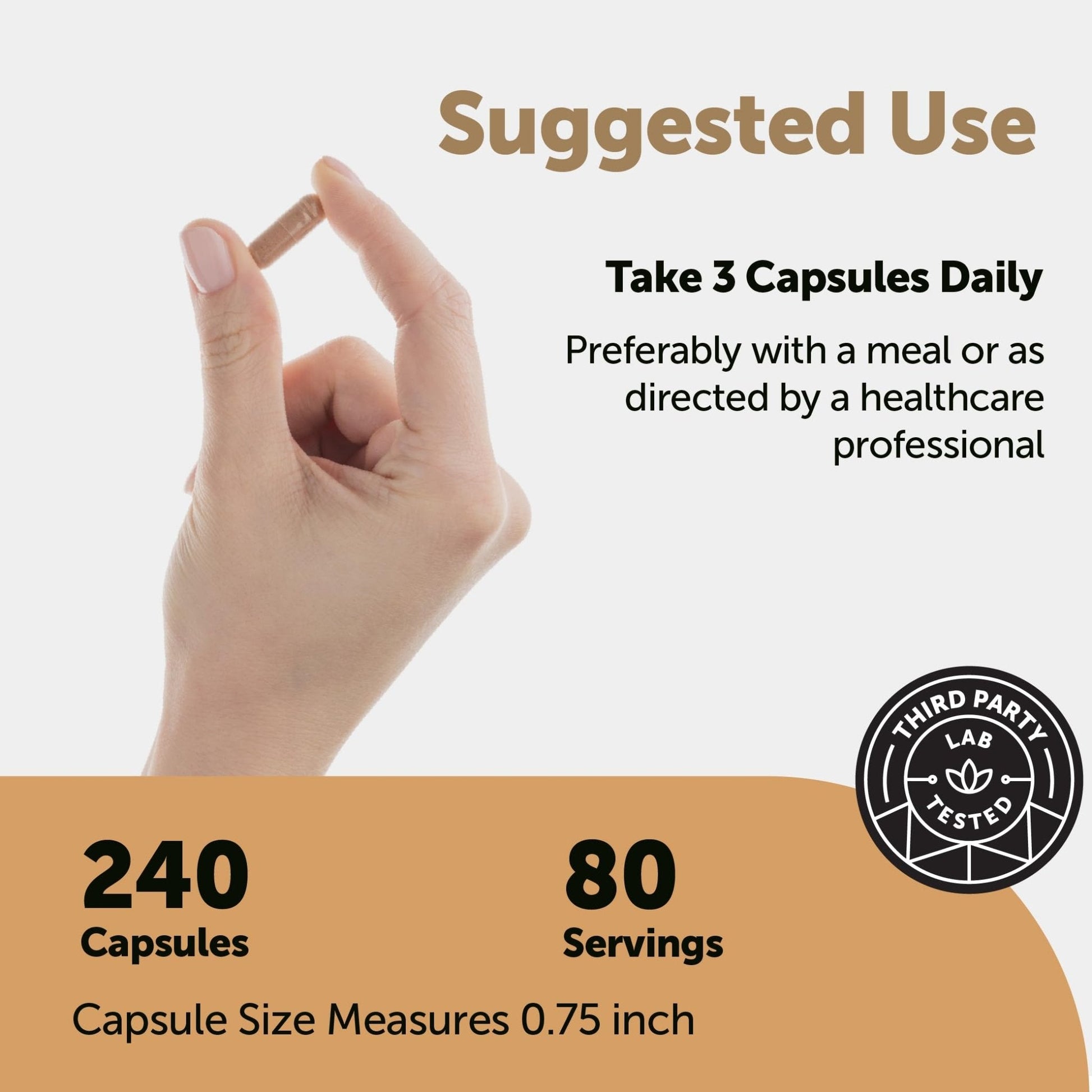 Micro Ingredients Nattokinase 10,000 FU Per Serving (Natural Natto Extract), 240 Vegetarian Capsules | with CoQ10, Turmeric, Aged Garlic & Pine Bark Extract - Maple Wellness Supplements