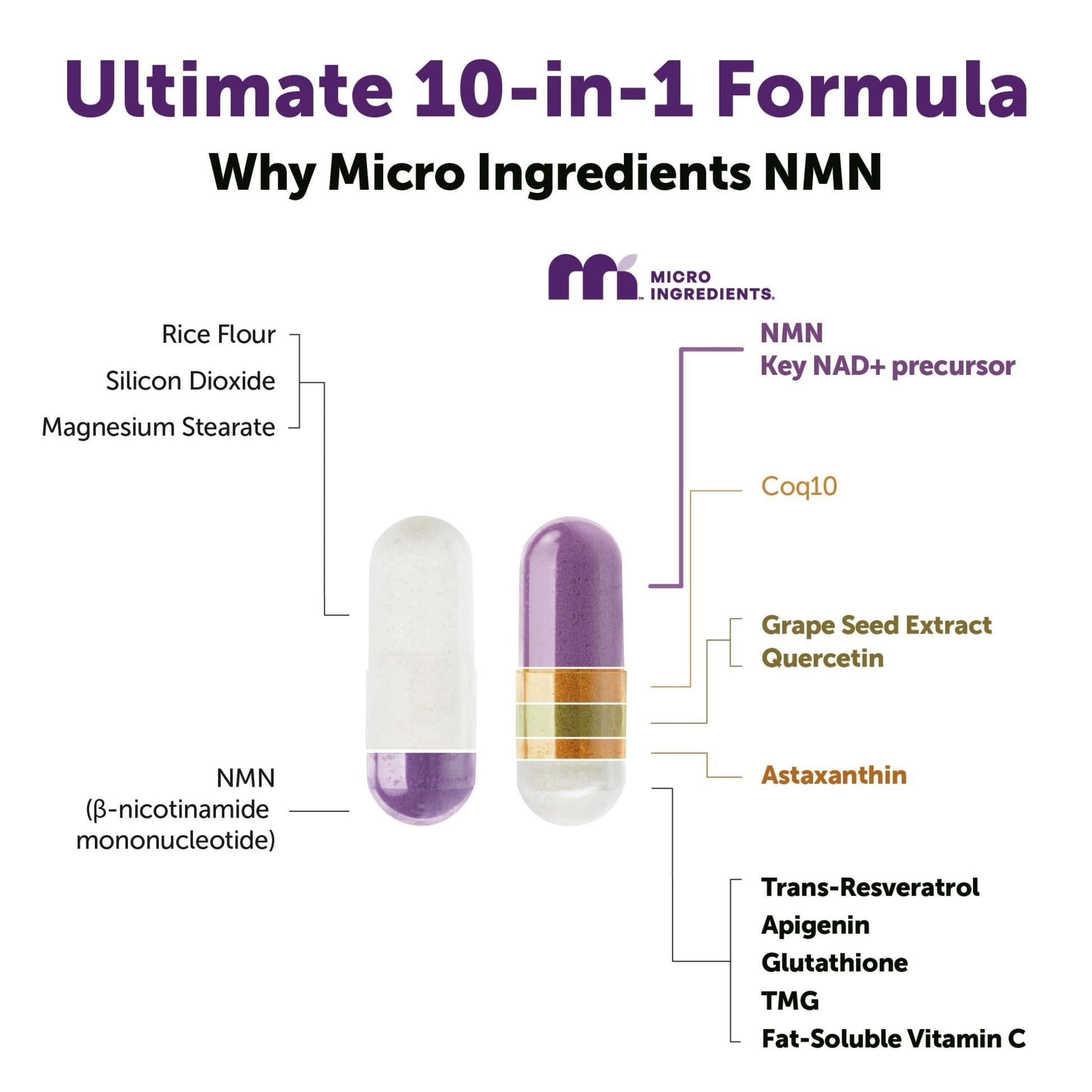 Micro Ingredients NMN Complex 1000mg Per Serving, 120 Veggie Capsules | 10-in-1 with Nicotinamide Mononucleotide, Resveratrol, CoQ10, Quercetin & Glutathione - Maple Wellness Supplements