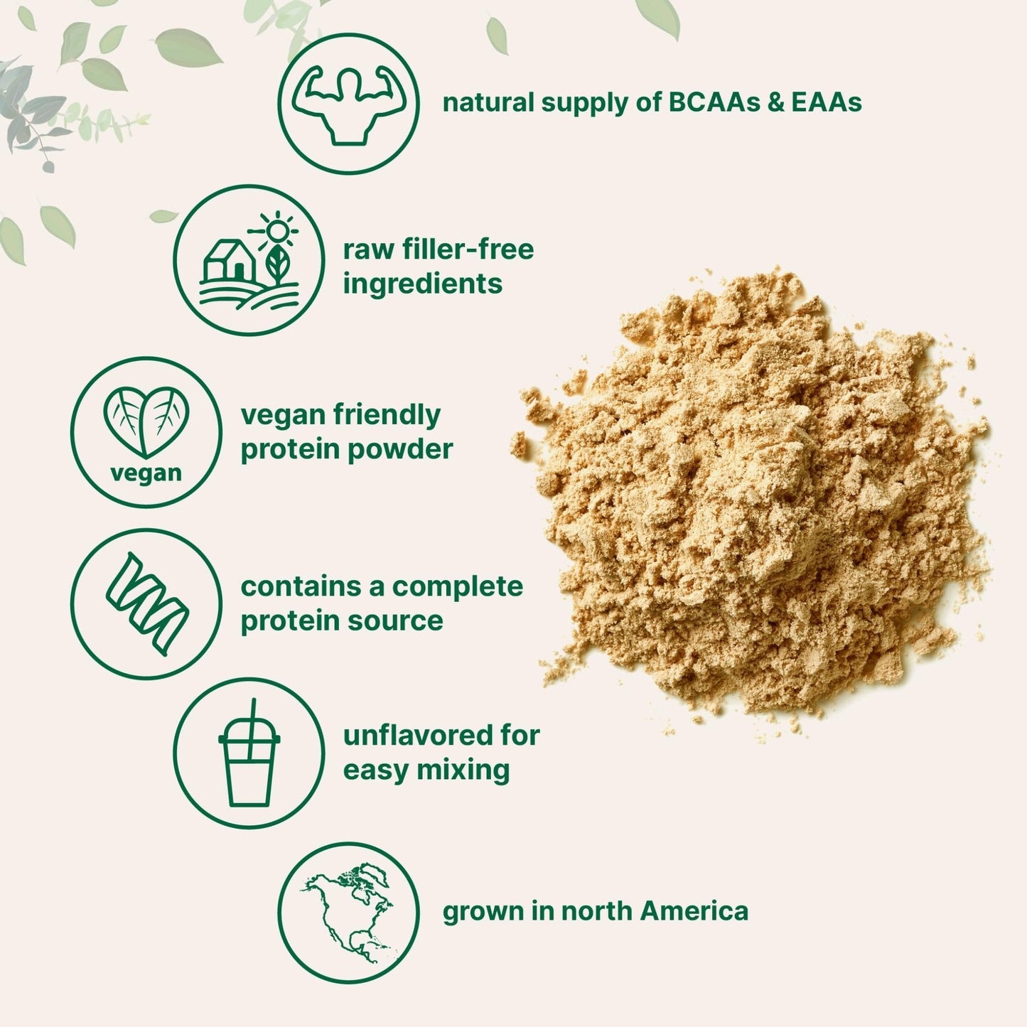 Micro Ingredients North American Grown, Pea Protein Powder, 5 Pounds | Plant Based, Unflavored | Complete Vegan Protein Source with BCAAs & EAAs – 27g Serving | Non-GMO, Keto Friendly - Maple Wellness Supplements