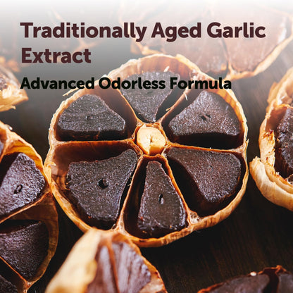 Micro Ingredients Odorless Garlic, 300 Softgels | 2 Years Aged Garlic Extract | Grown Allium Sativum Bulb - Maple Wellness Supplements