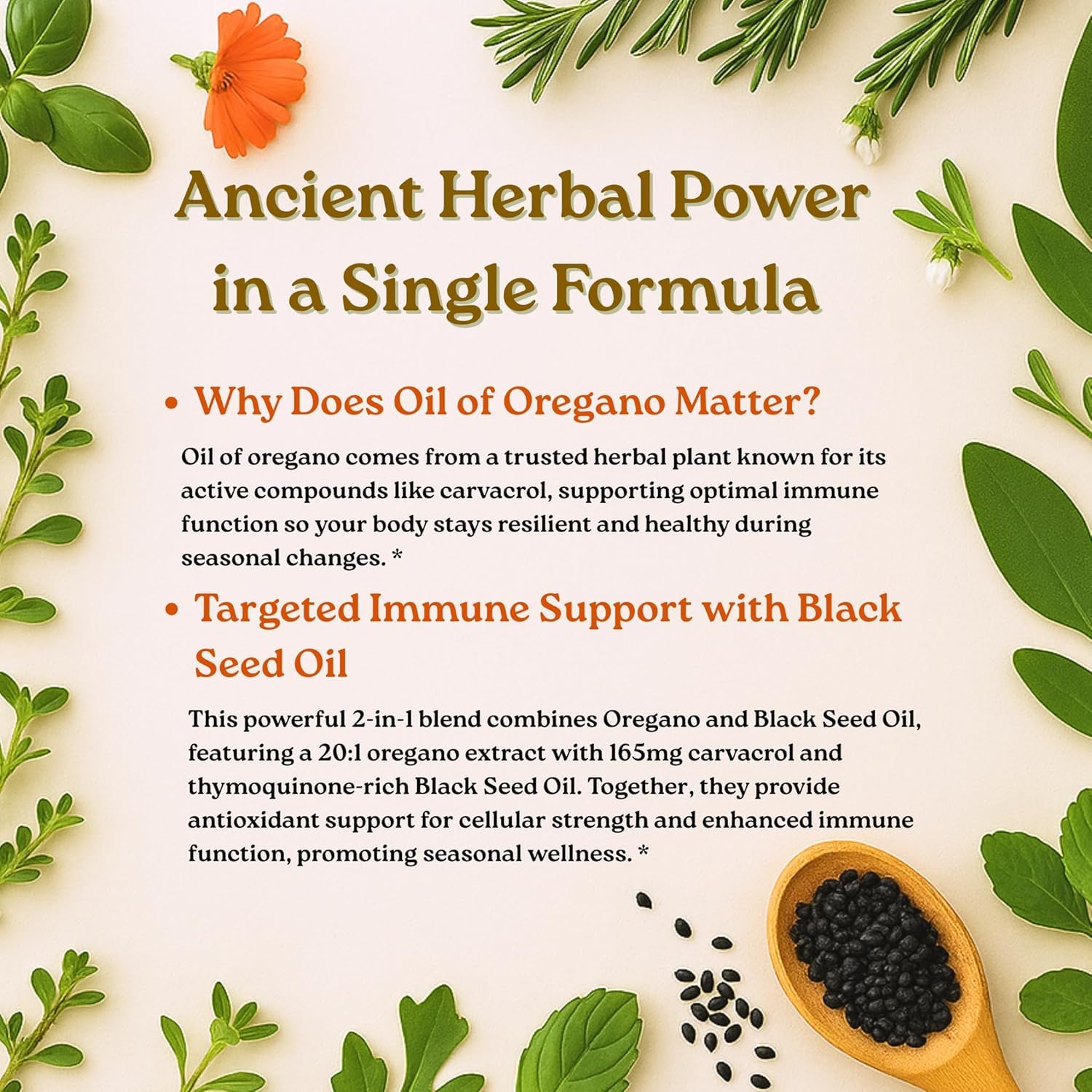 Micro Ingredients Oil of Oregano Softgels, 300 Count | 2 in 1 Formulated | 4X Strength Carvacrol & Thymoquinone | Plant Based, Non-GMO - Maple Wellness Supplements
