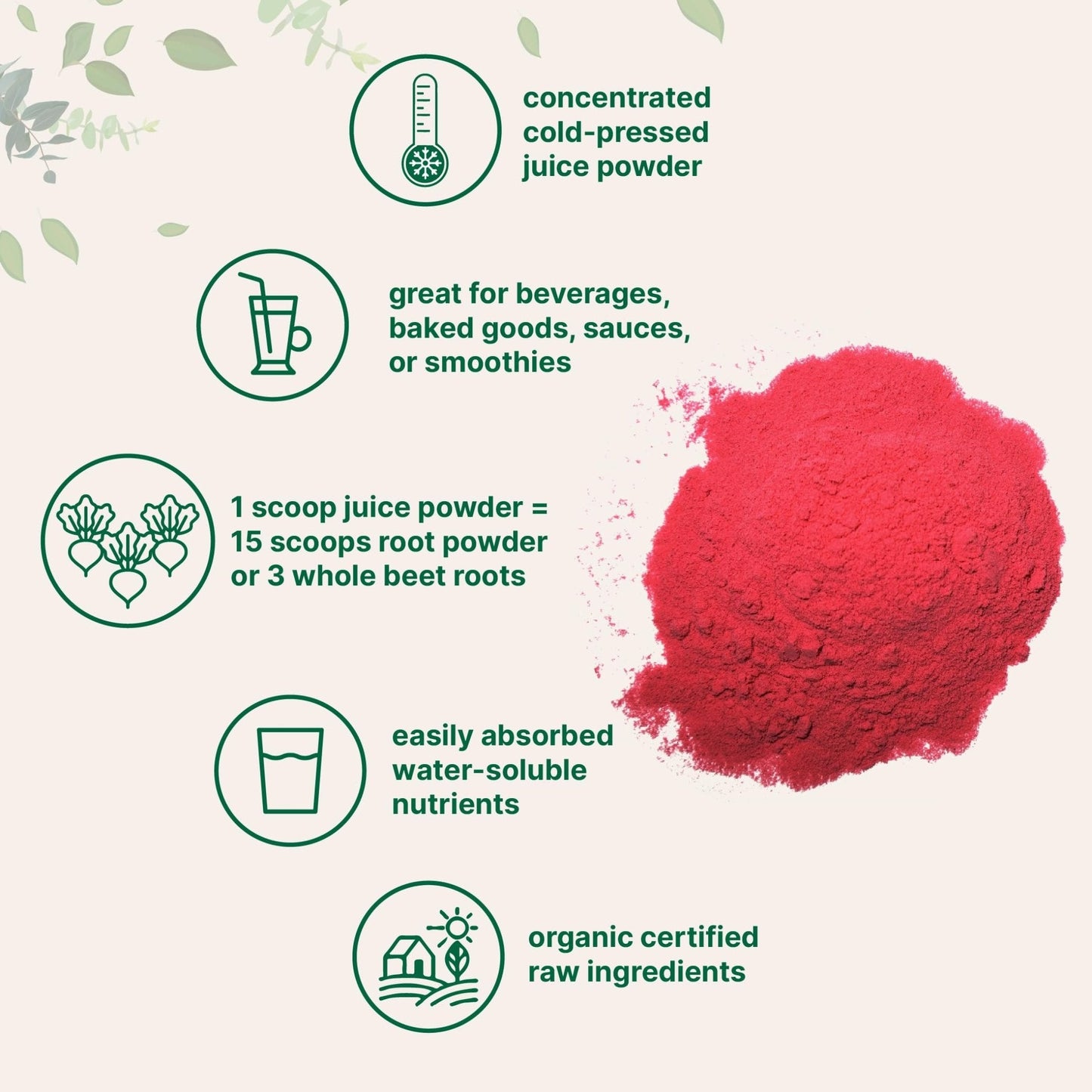 Micro Ingredients Organic Beet Root Juice Powder, 1 Pound | Cold Pressed, Water Soluble, High Concentrated Raw Beet Supplement | Superfood Drink Mix - Maple Wellness Supplements