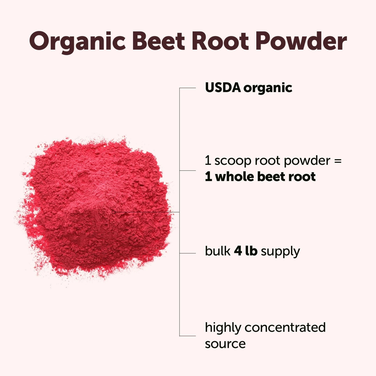 Micro Ingredients Organic Beet Root Powder, 4 Pounds | Cold Pressed, Water Soluble, High Concentrated Raw Beetroot Supplement | Natural Nitric Oxide Superfood Drink Mix - Maple Wellness Supplements
