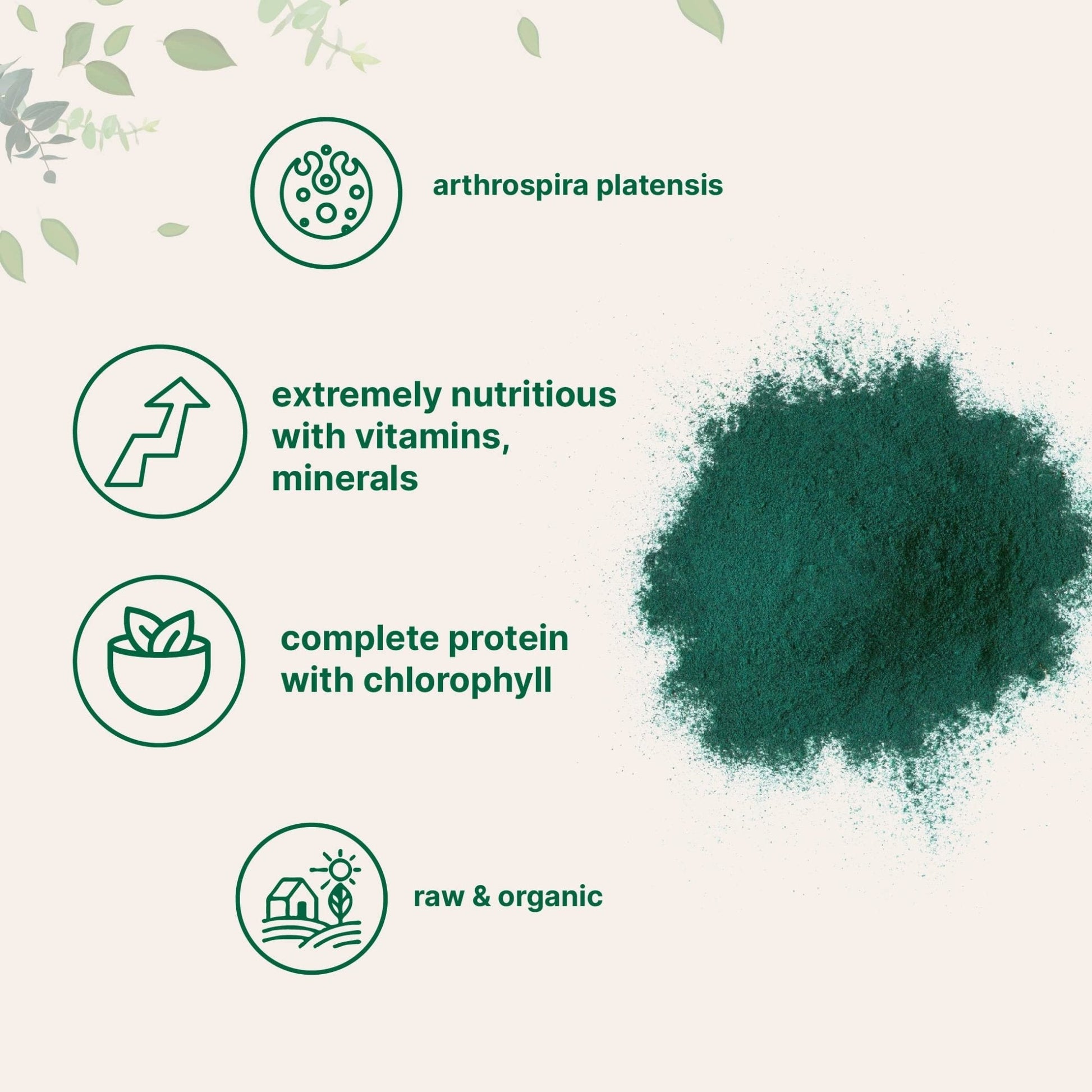 Micro Ingredients Organic Spirulina Powder, 1lb | Blue-Green Algae, Rich in Vegan Protein, Vitamins & Minerals | Source of Natural Chlorophyll & Enzymes - Maple Wellness Supplements