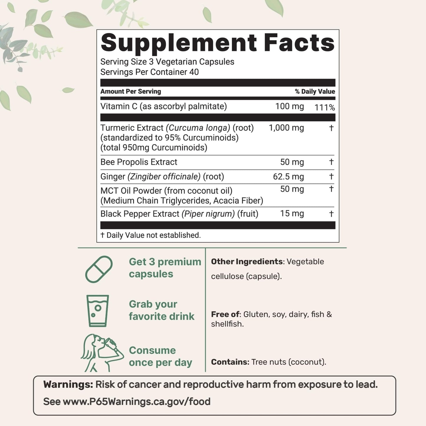 Micro Ingredients Pure Turmeric Curcumin Supplement 1,000mg – 95% Curcuminoids with Black Pepper & Ginger – High Absorption for Joint & Antioxidant Support - Maple Wellness Supplements