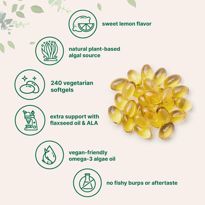 Micro Ingredients Vegan Omega 3 Algae Oil, 240 Veggie Softgels | Fish Oil Alternative | DHA 500mg & DPA 100mg | Carrageenan Free | Plant-Based Omega 3 - Maple Wellness Supplements
