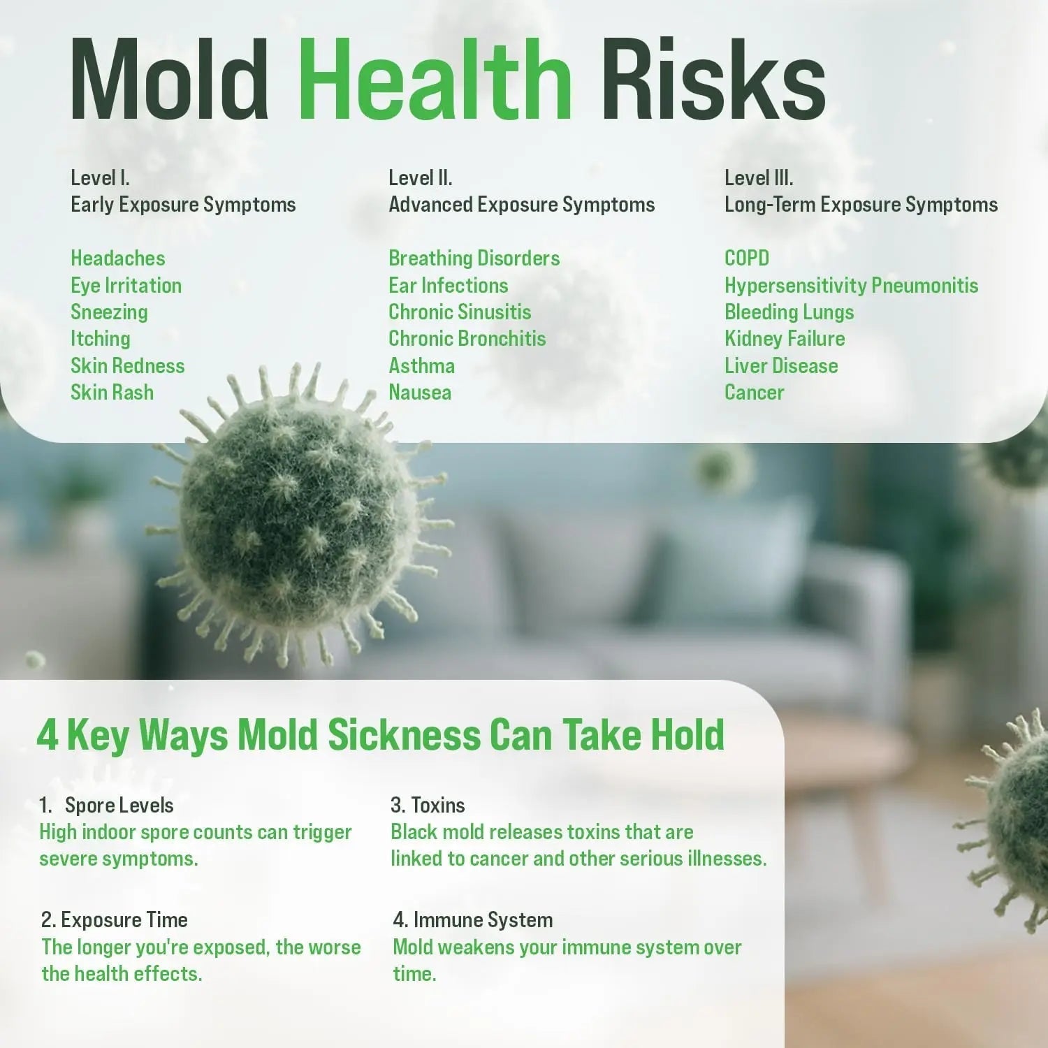 Microbial Mold Test Kit for Home - Indoor Air Quality and Surface Testing - Detects Black Mold, Mildew, and Fungi - Air and Surface Mold Detection Kit with Lab Analysis Included - Maple Wellness Supplements