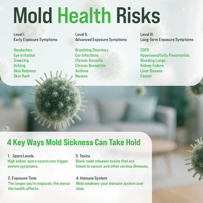 Microbial Mold Test Kit for Home - Indoor Air Quality and Surface Testing - Detects Black Mold, Mildew, and Fungi - Air and Surface Mold Detection Kit with Lab Analysis Included - Maple Wellness Supplements