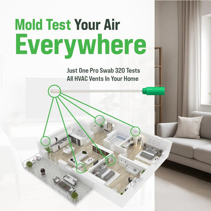 Microbial Mold Test Kit for Home - Indoor Air Quality and Surface Testing - Detects Black Mold, Mildew, and Fungi - Air and Surface Mold Detection Kit with Lab Analysis Included - Maple Wellness Supplements
