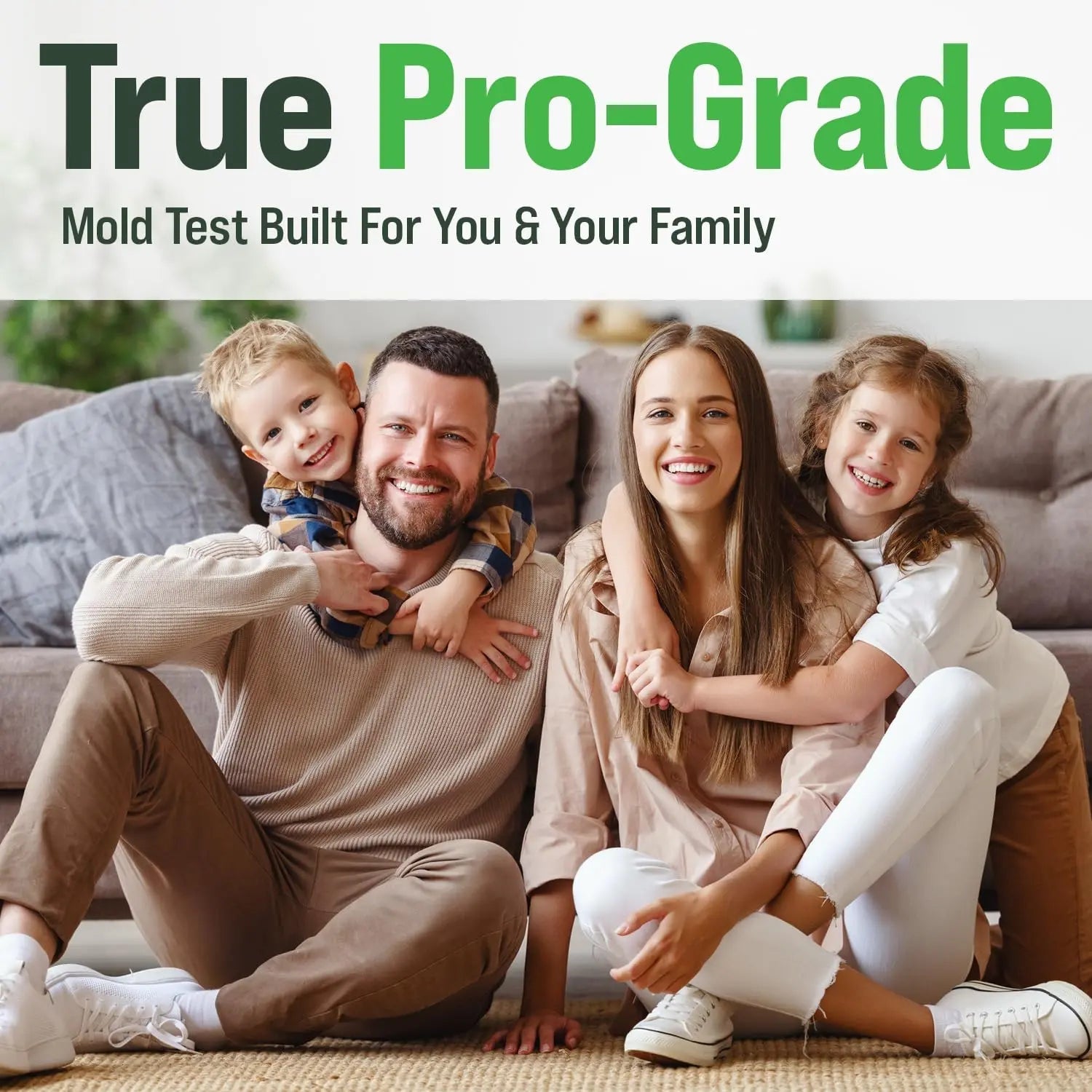 Microbial Mold Test Kit for Home - Indoor Air Quality and Surface Testing - Detects Black Mold, Mildew, and Fungi - Air and Surface Mold Detection Kit with Lab Analysis Included - Maple Wellness Supplements