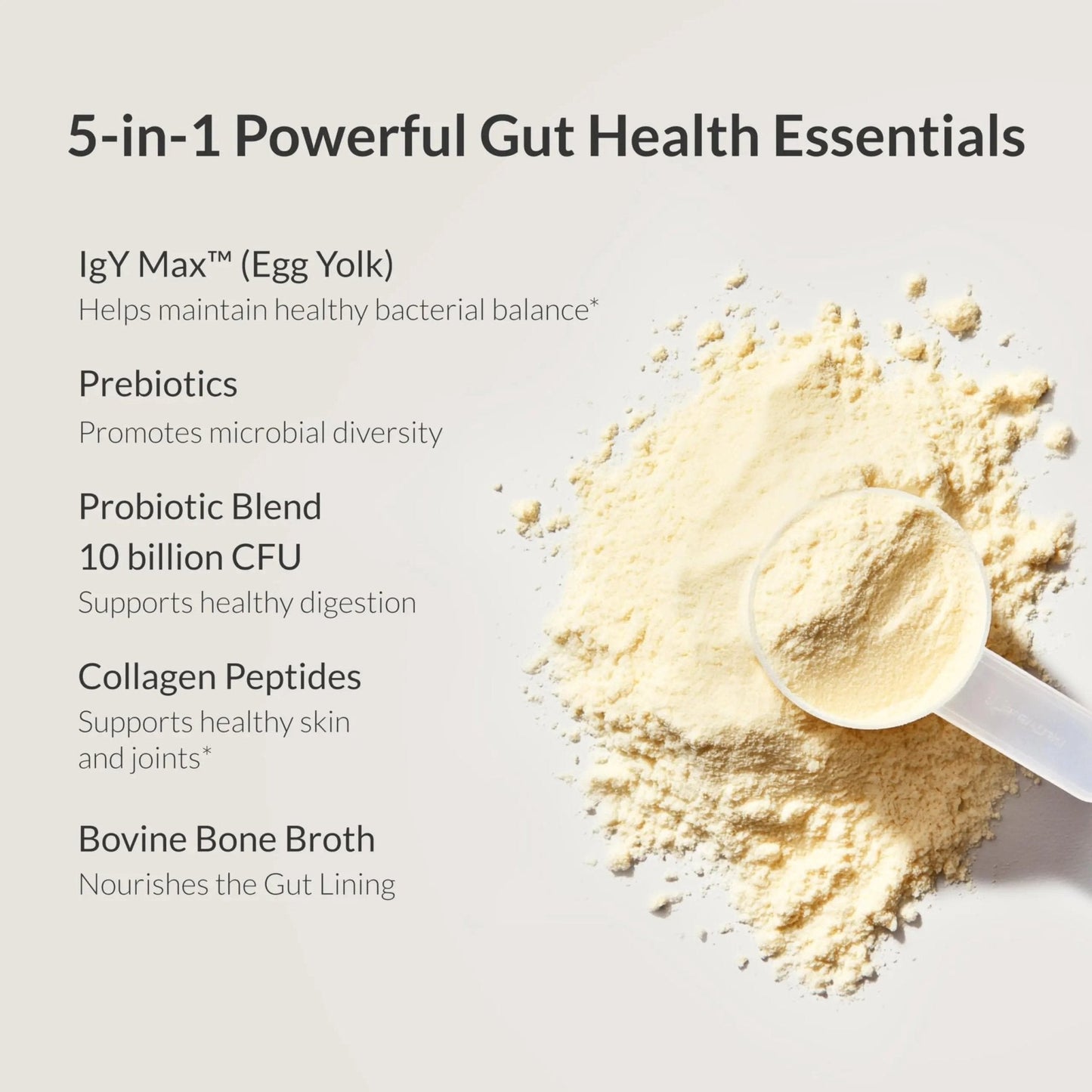 Microbiome Breakthrough™ Gut Support Powder – Vegetarian Vanilla – With Probiotics, Prebiotics, and IgY Max® – Source of L-Glutamine – Supports Digestive Comfort, Gas & Bloating Relief 30 Servings* - Maple Wellness Supplements
