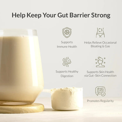 Microbiome Breakthrough™ Gut Support Powder – Vegetarian Vanilla – With Probiotics, Prebiotics, and IgY Max® – Source of L-Glutamine – Supports Digestive Comfort, Gas & Bloating Relief 30 Servings* - Maple Wellness Supplements