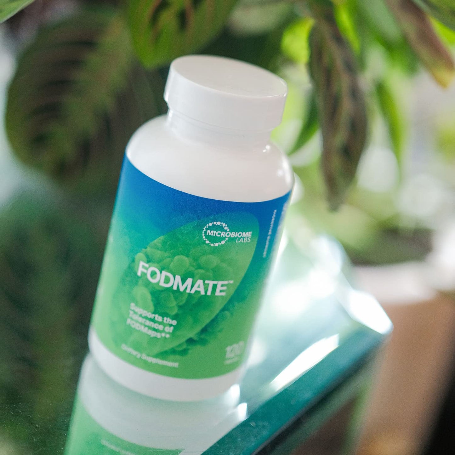 Microbiome Labs FODMATE Digestive Enzymes for Women & Men - Digestive Support for Low FODMAP Protocols & Occasional Bloating, Gas & Stomach Relief (120 Capsules) - Maple Wellness Supplements